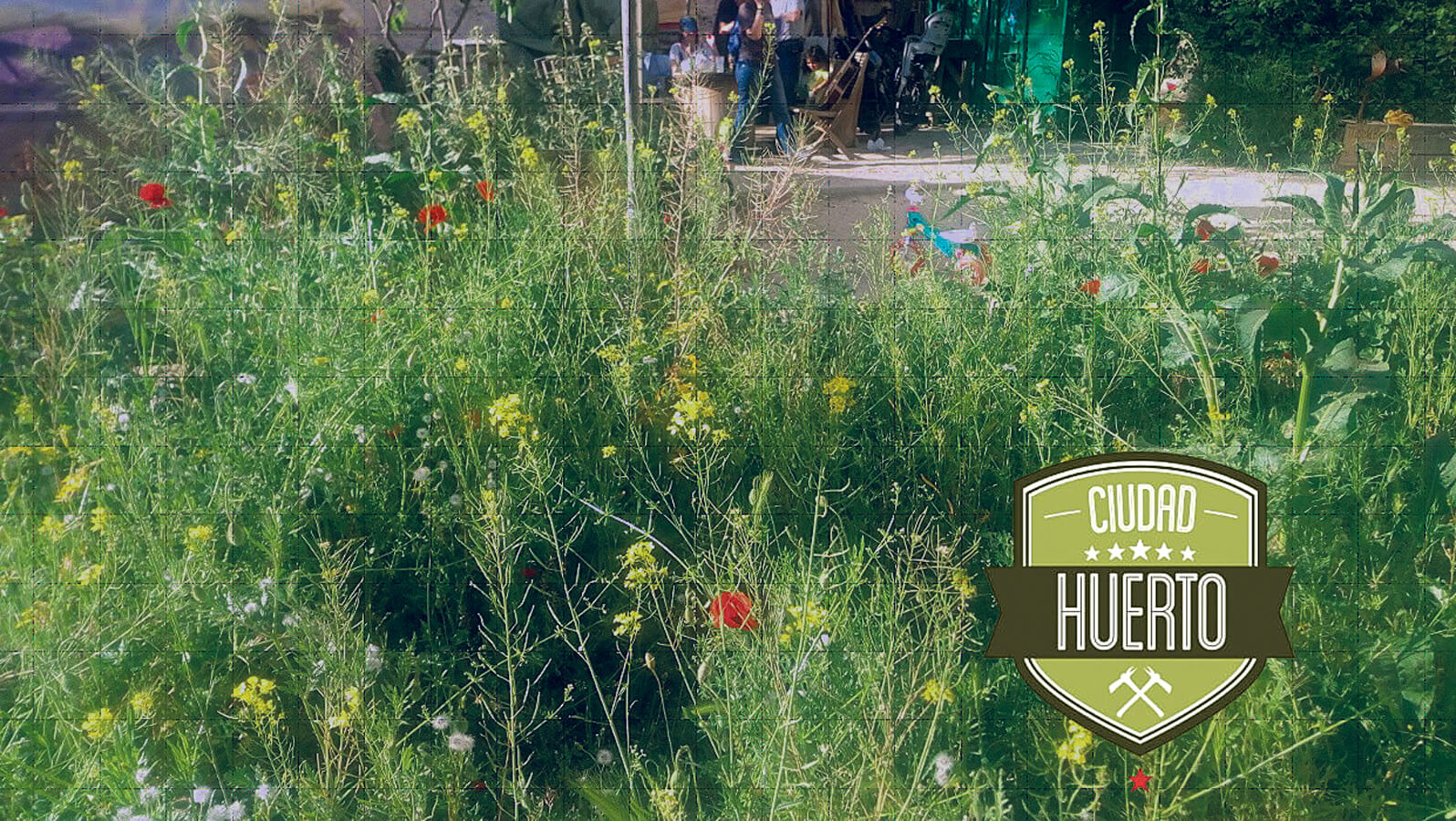 ZASS: comunidad de aprendizaje en torno a un modelo de jardinería experimental sostenible en la ciudad