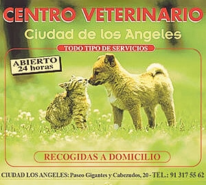 clinica-veterinaria-ciudad-de-los-angeles